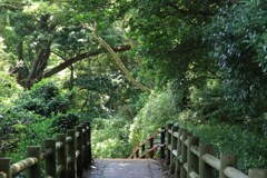 緑・緑・緑