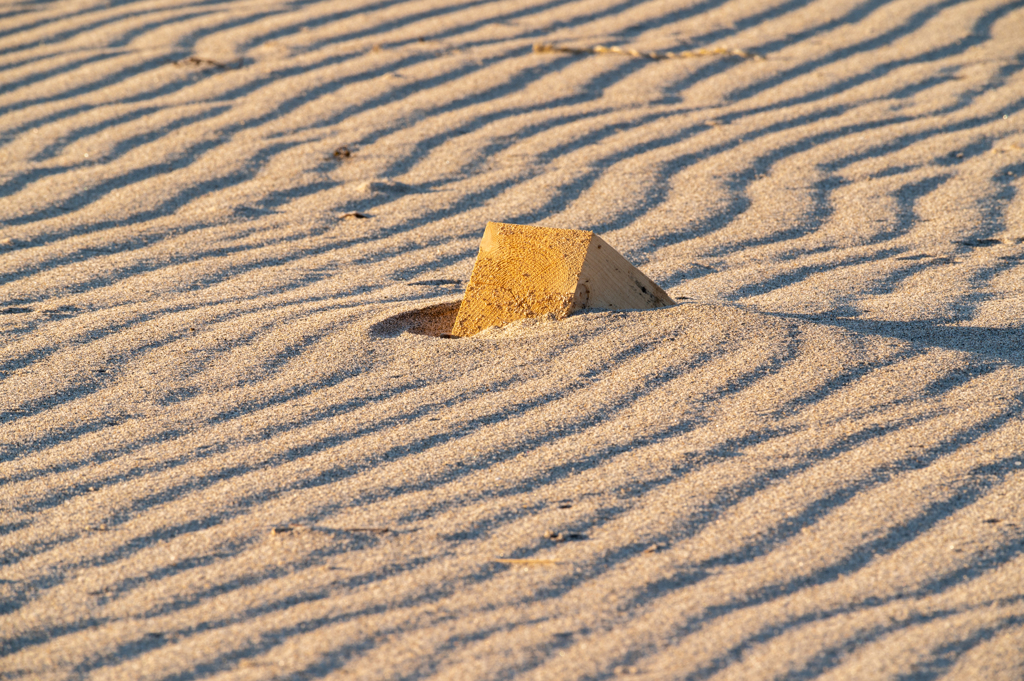 角が取れていない未熟な漂着者