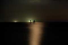 海