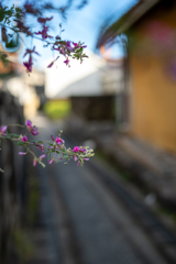 萩小路