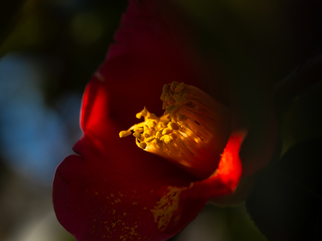 秘すれば花