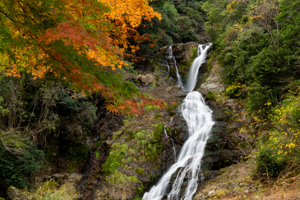 巌流寺の滝