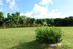 海濱公園內