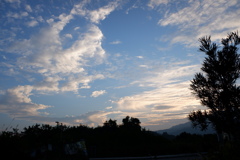 清晨