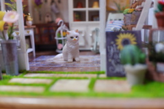 DIY Dollhouse