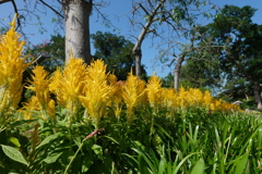 北區公園內