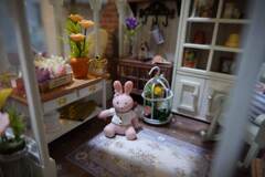 DIY Dollhouse