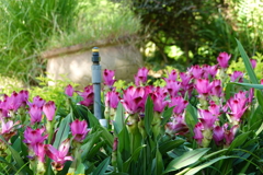 海濱公園內