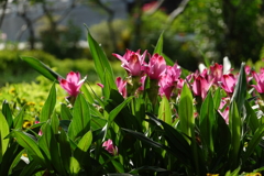 海濱公園內