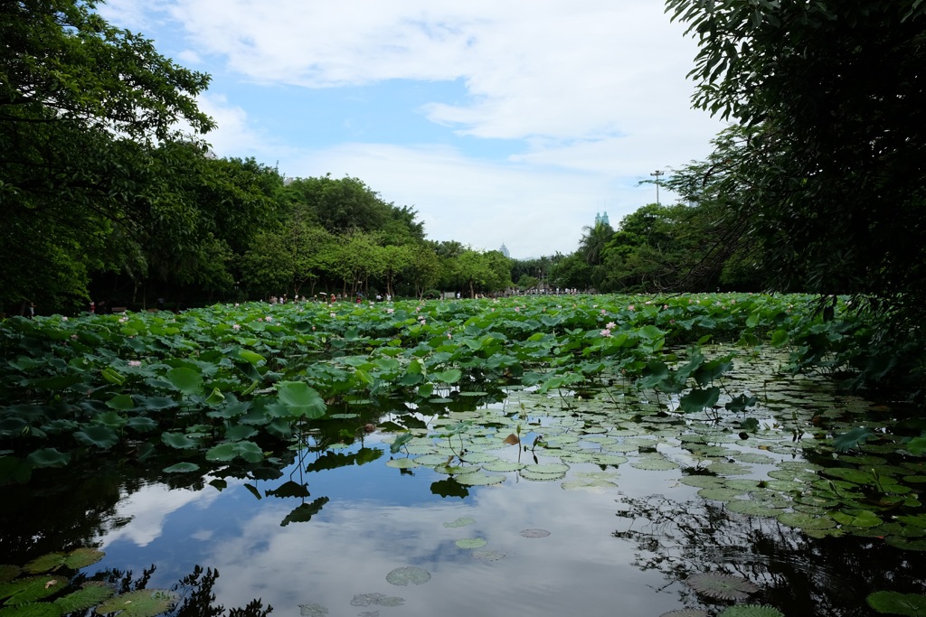 洪湖公園