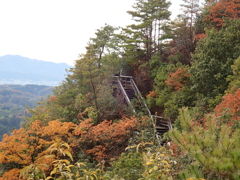 高木山777段の階段