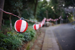 DSC00750