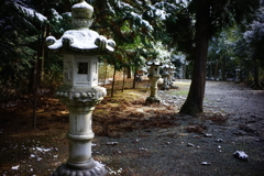 DSC00776