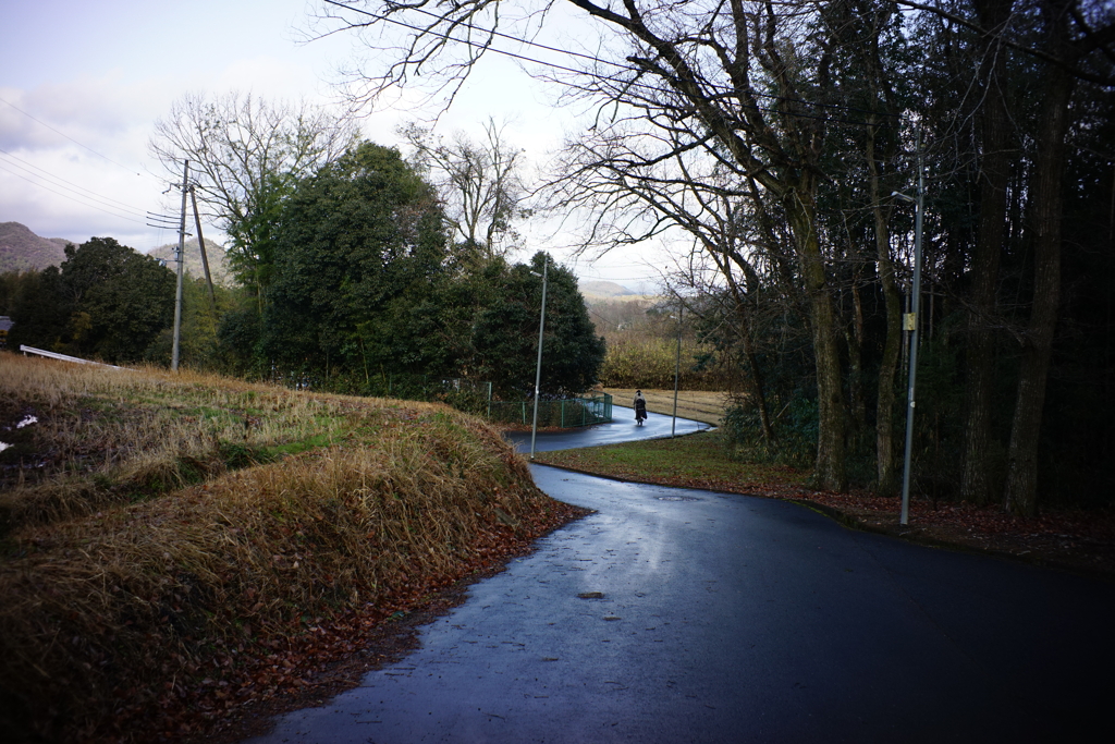 DSC01006