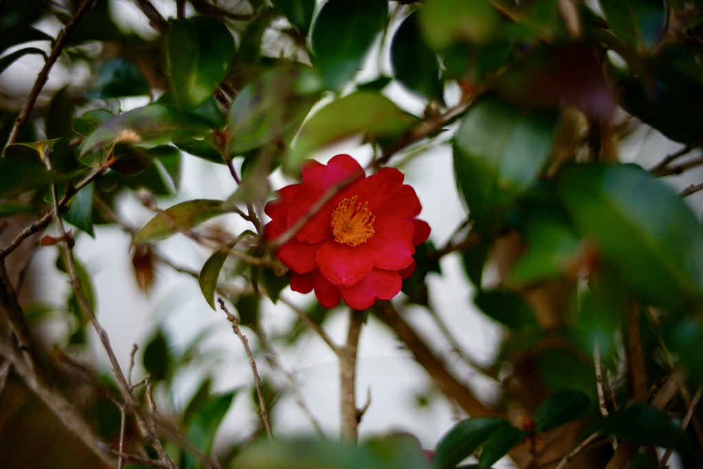 DSC02975