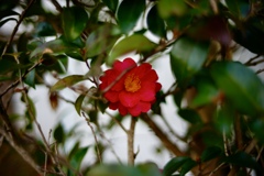 DSC02975