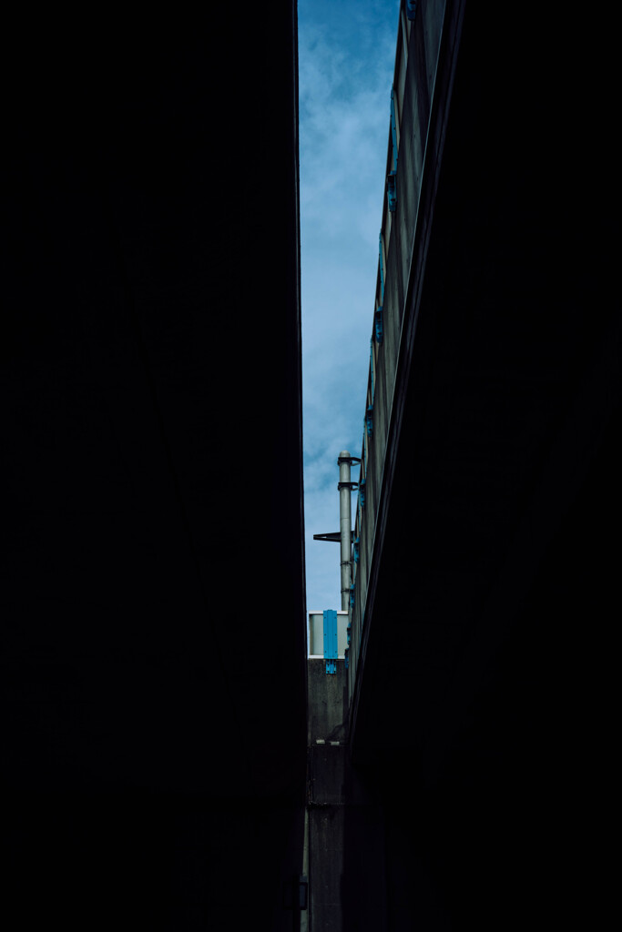 _DSC0542