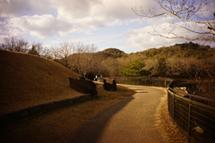 DSC00672