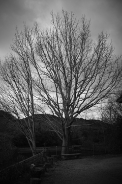 DSC00641