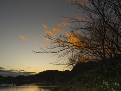 水仙郷の夕暮れ