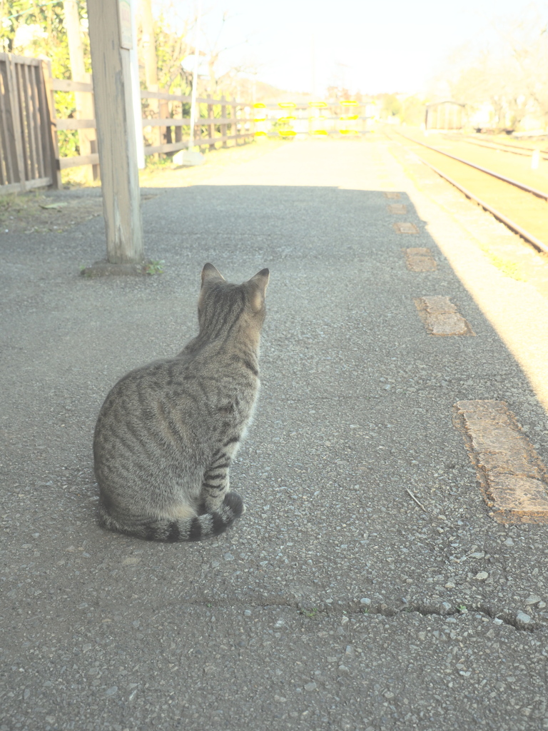 今日もお迎えに