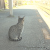 今日もお迎えに