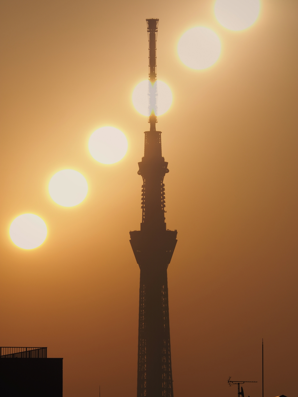 新しい朝