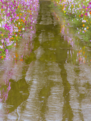雨の道を