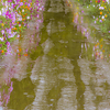 雨の道を