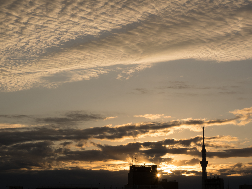 空ばかり見てる
