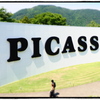 PICASSO