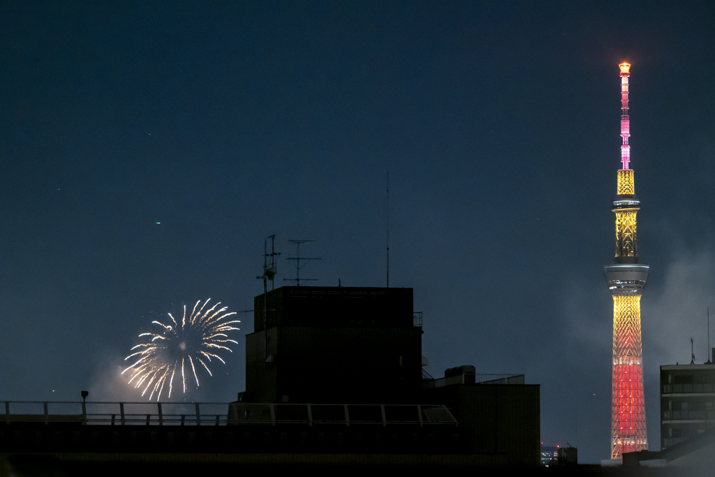 隅田川花火その2