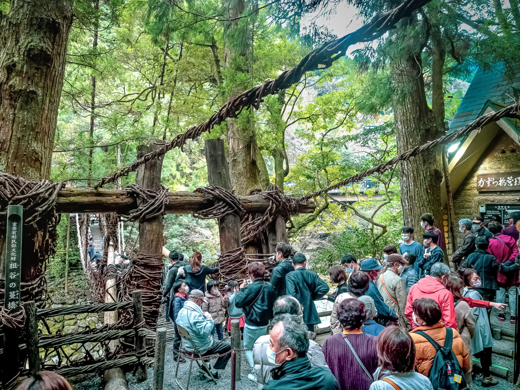 祖谷のかずら橋