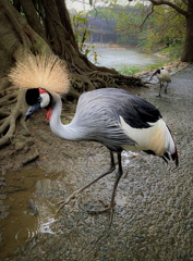 前を失礼します！