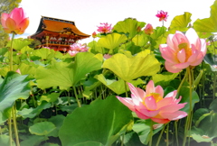 竜宮城