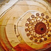 Ammonite