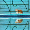猫と海