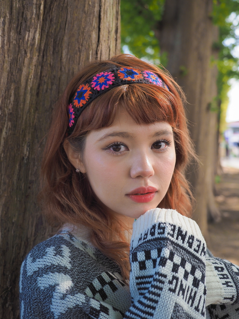 メタセコイアな季節