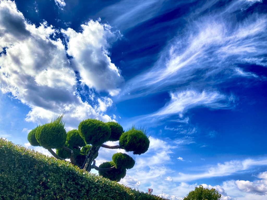 雲の表情に魅せられて