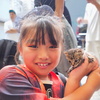 子猫と私