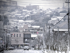 雪のあさ