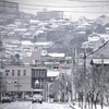 雪のあさ