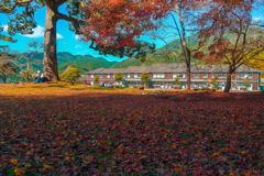 秋月中学校