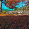 秋月中学校