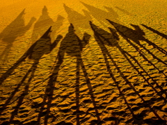 Sahara Desert