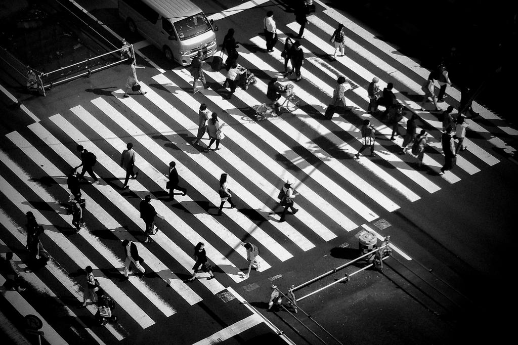 Zebra Crossing