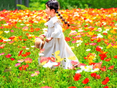 Flower Garden