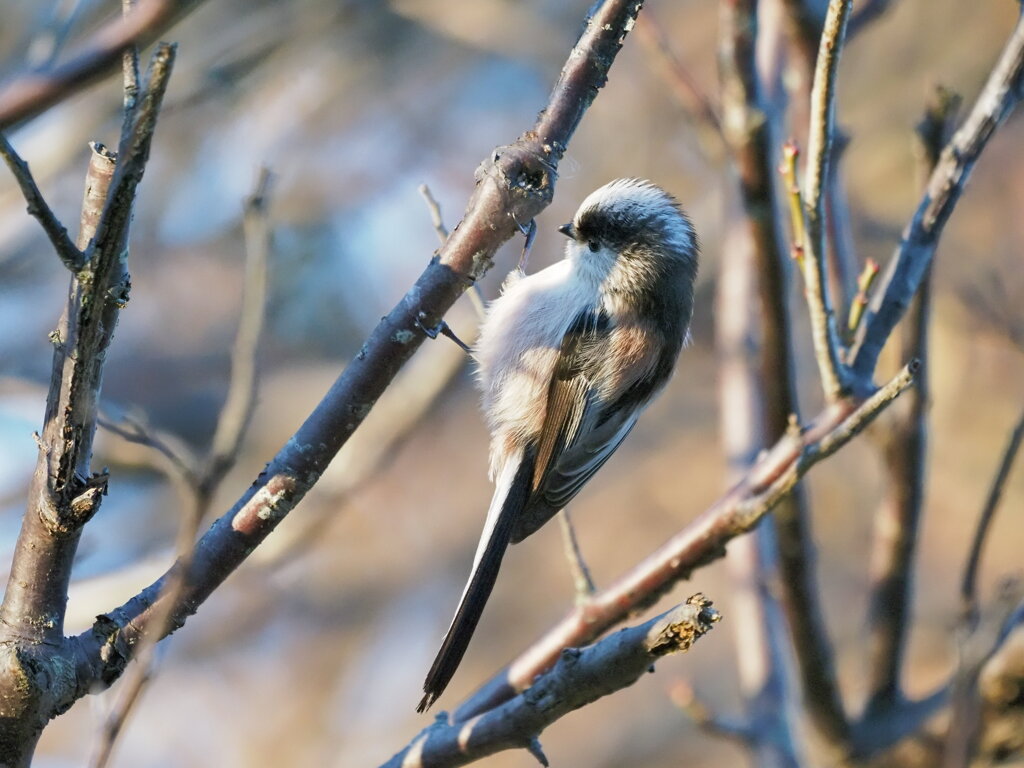 しっかりつかまって！