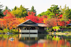 秋彩に集う憩処