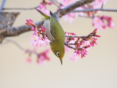 行くぞ！